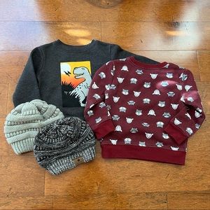 Winter Toddler Sweater & Beanie Bundle (18 months)